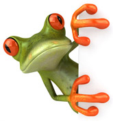 Froggi