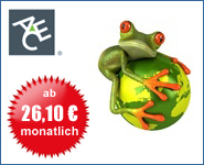 Work and Travel Auslandsversicherung