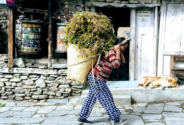Sabbatical - Auszeit vom beruflichen Alltag (Teil 2) - 7 Monate in die weite Welt_Annapurna-Trekking-Nepal-2018_3_small 